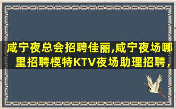 林芝酒吧招聘